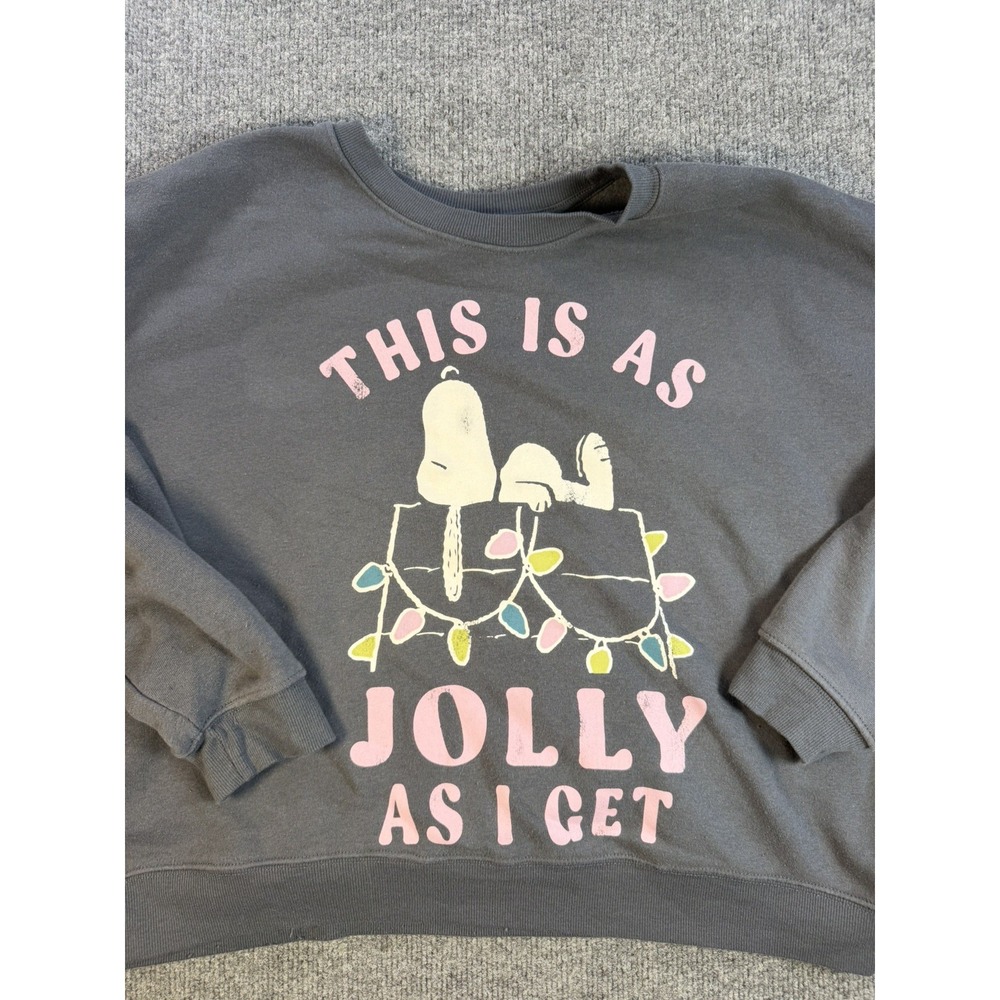 Women's Peanuts Jolly Snoopy Graphic Gray Sweatshirt-NWT Size XXL